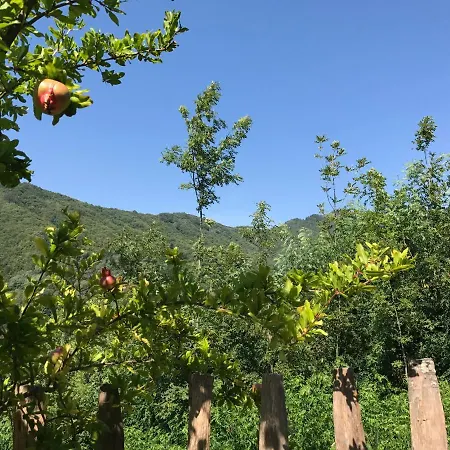 Casa Balsamo B&B
