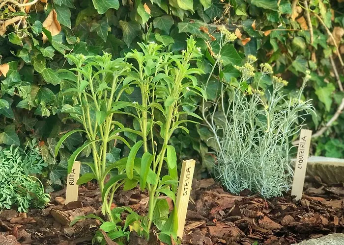 Casa Balsamo Bed & Breakfast *